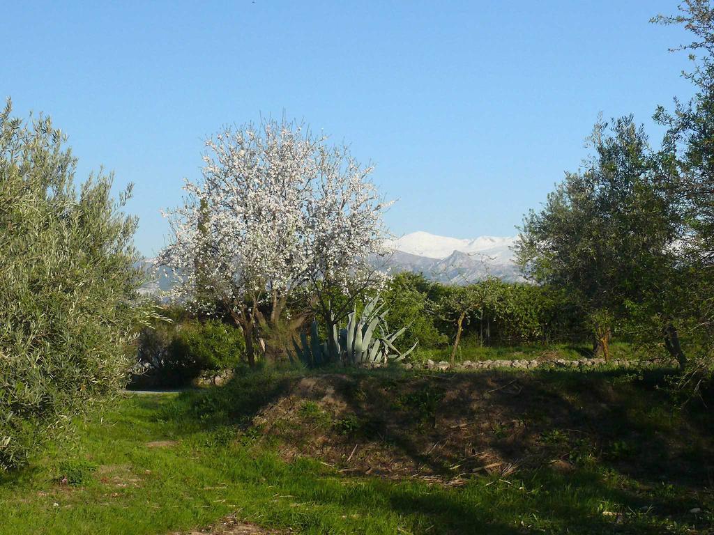 בית הארחה Alhendín 	Cortijo Algabia מראה חיצוני תמונה